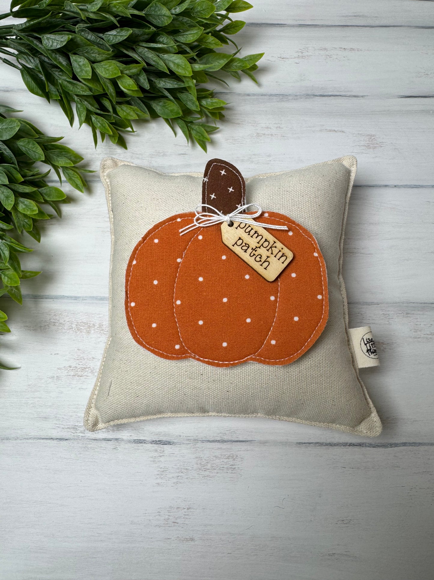 Interchangeable Pillow