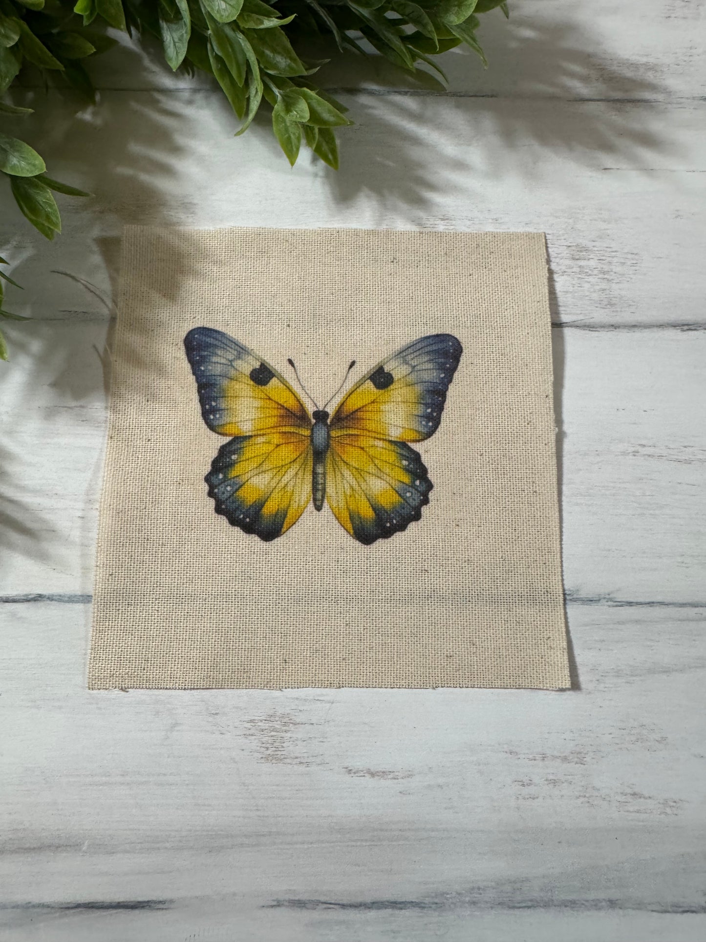Blue & yellow butterfly 5” patch