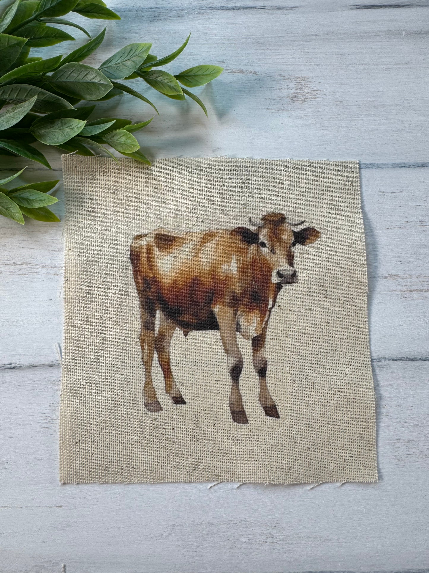 Brown cow 5” patch