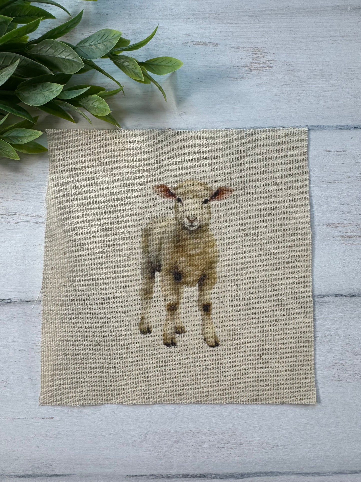 Lamb 5” patch