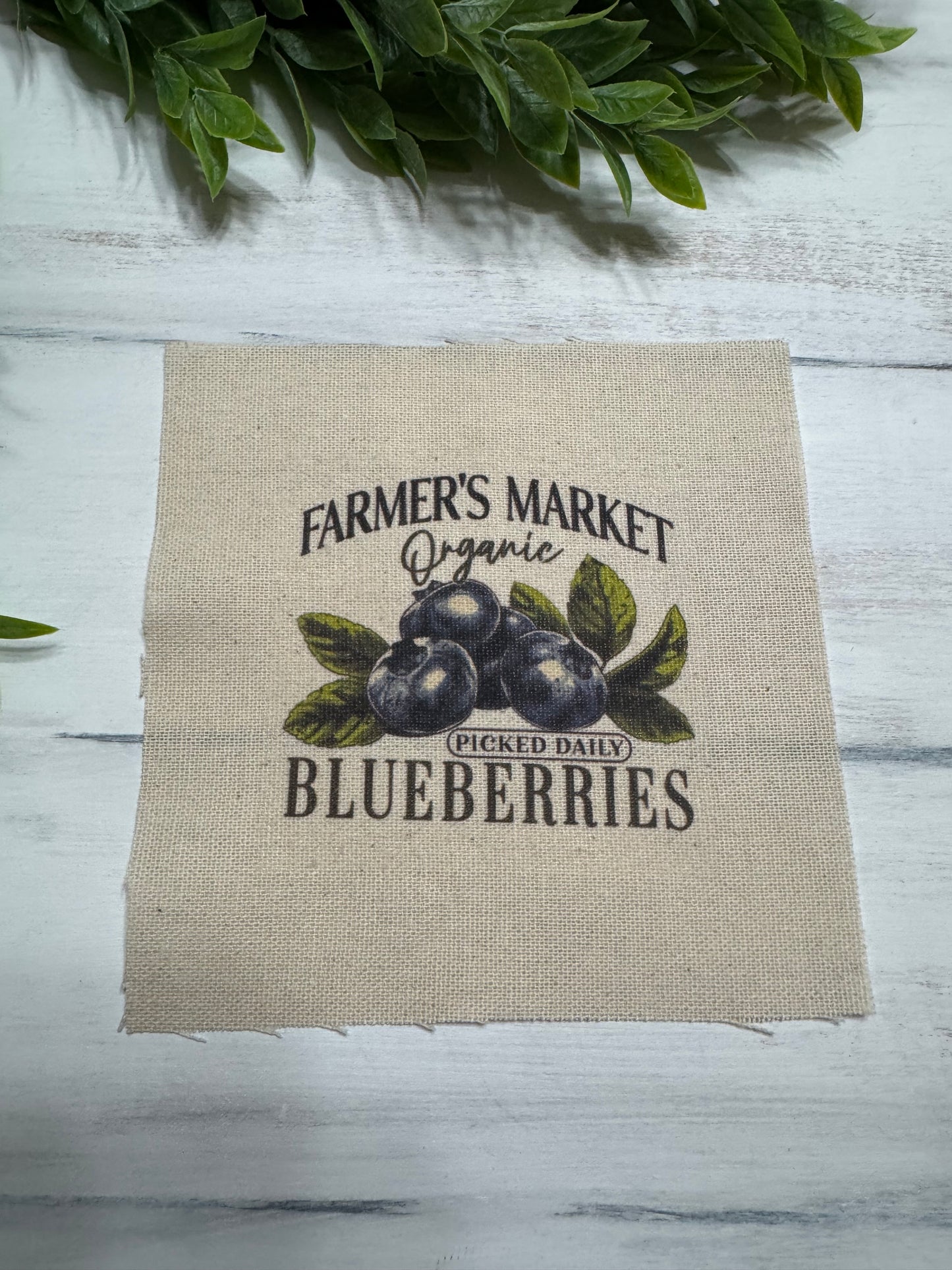 Blueberries 5” patch