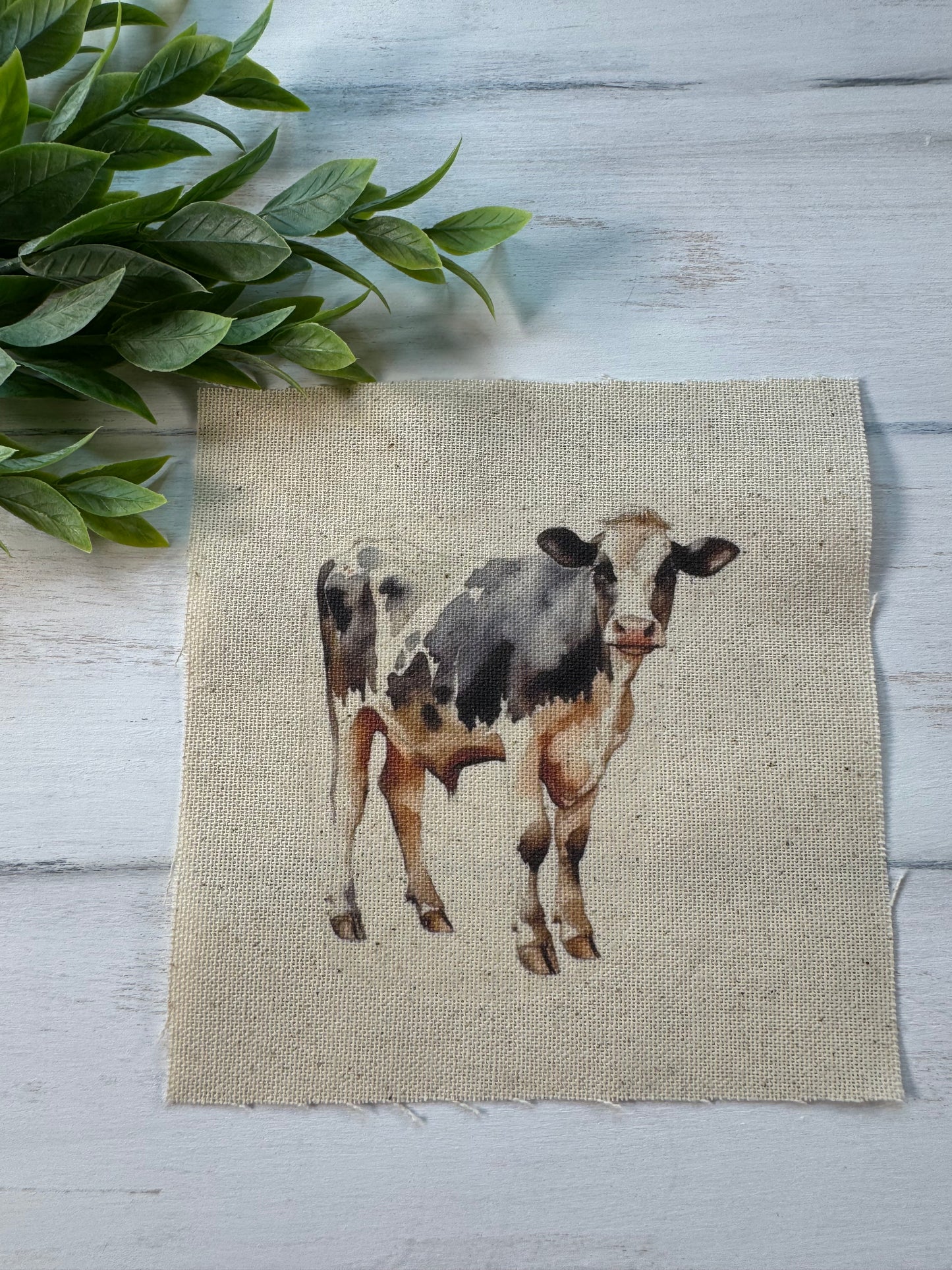 Black and white cow 5” patch
