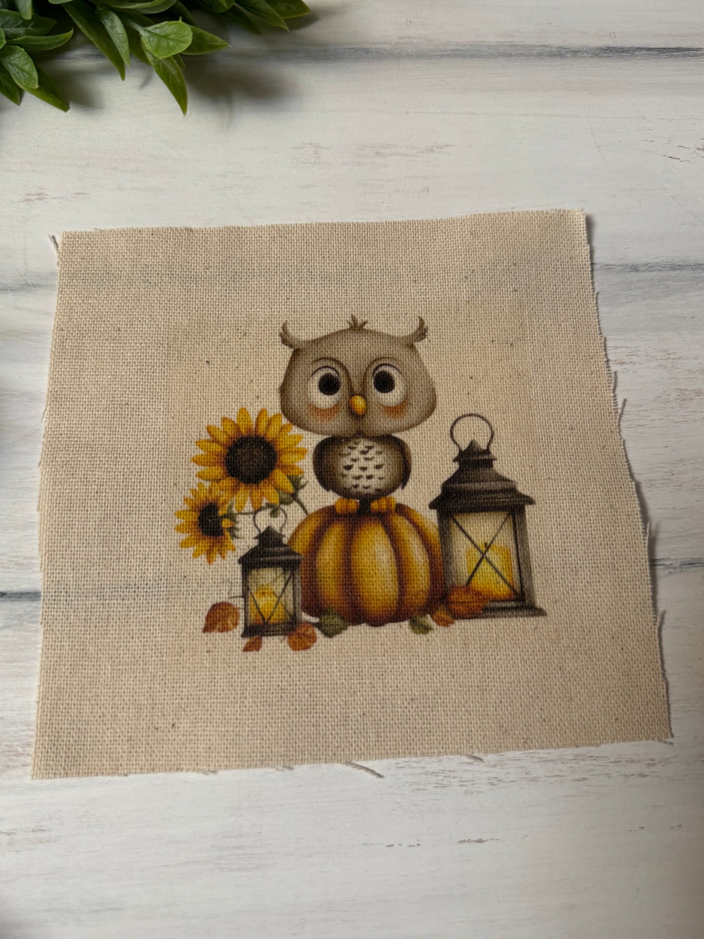 Fall owl 5” patch