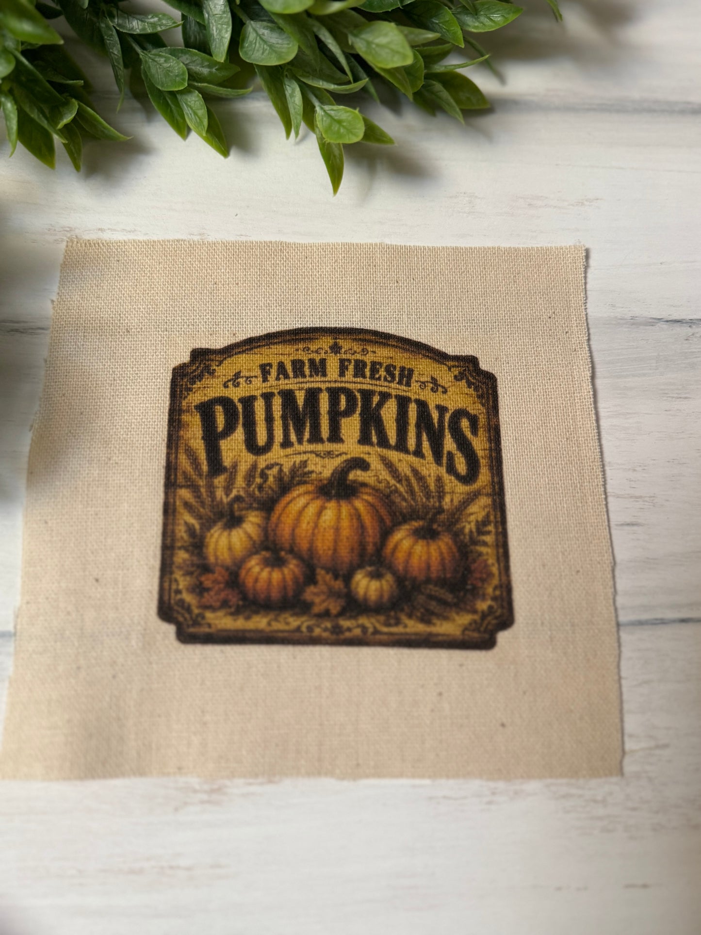 Farm fresh pumpkins vintage 5” patch