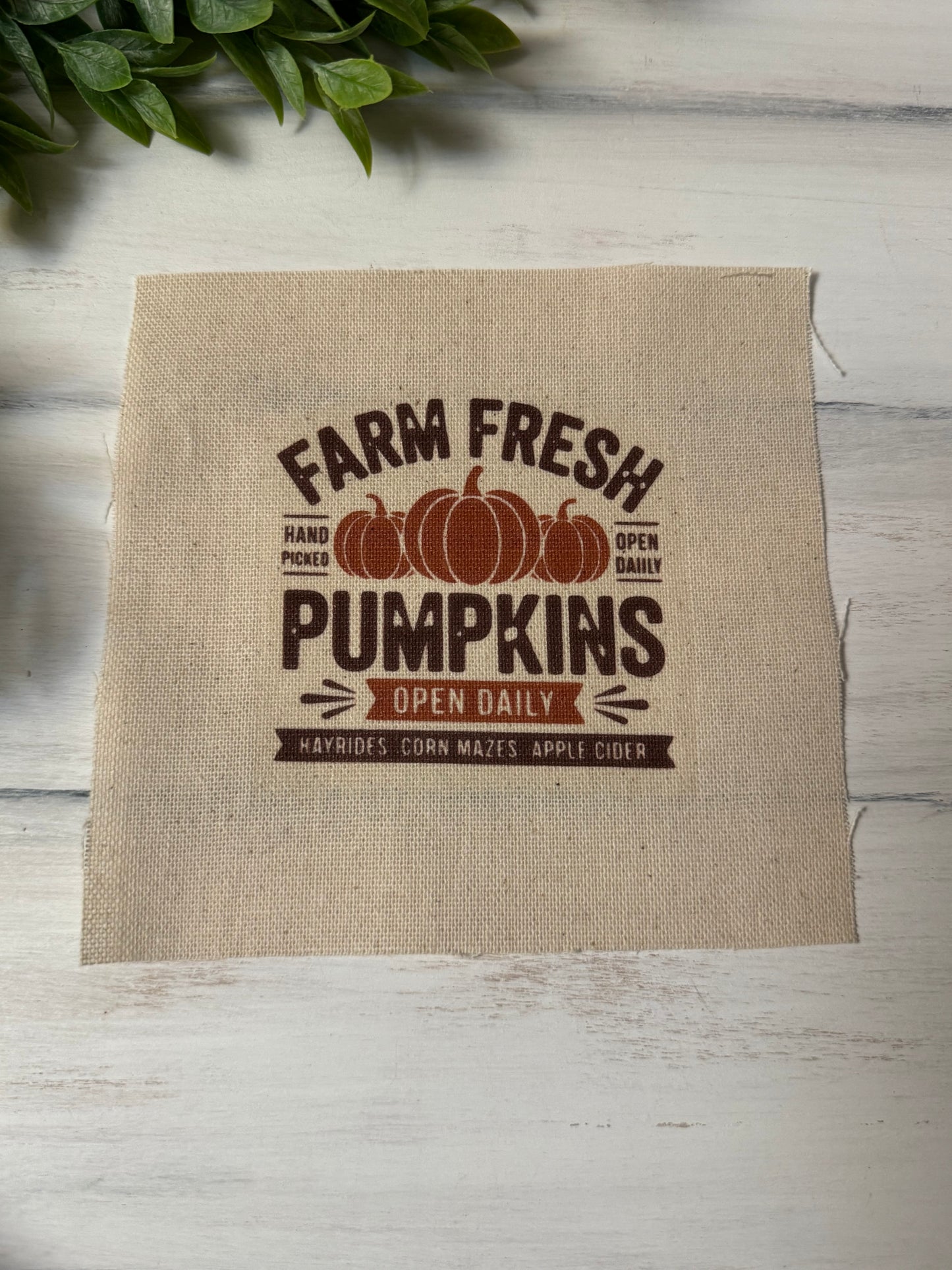 Farm fresh pumpkins 5” patch