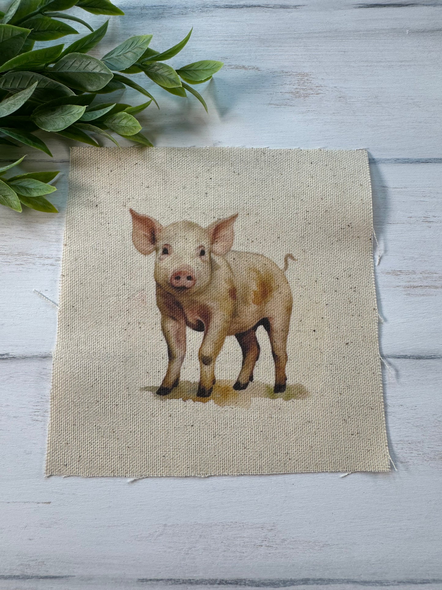 Pig 5” patch
