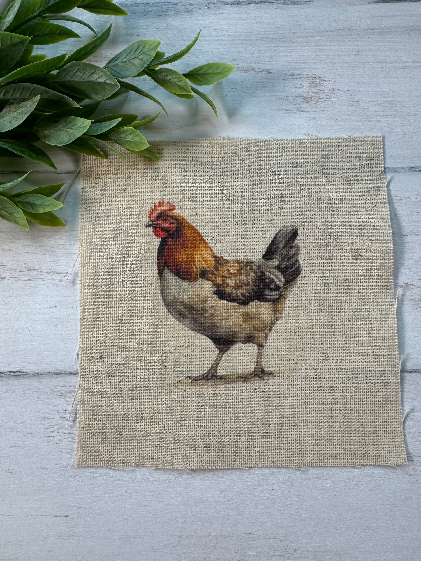 Chicken 5” patch