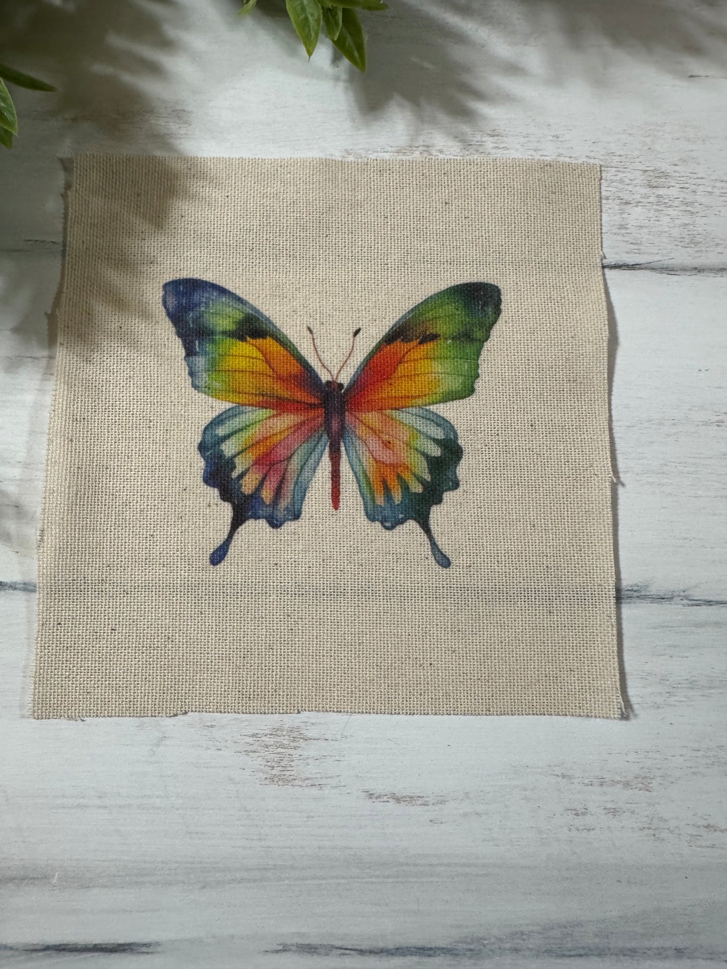 Colorful butterfly 5” patch