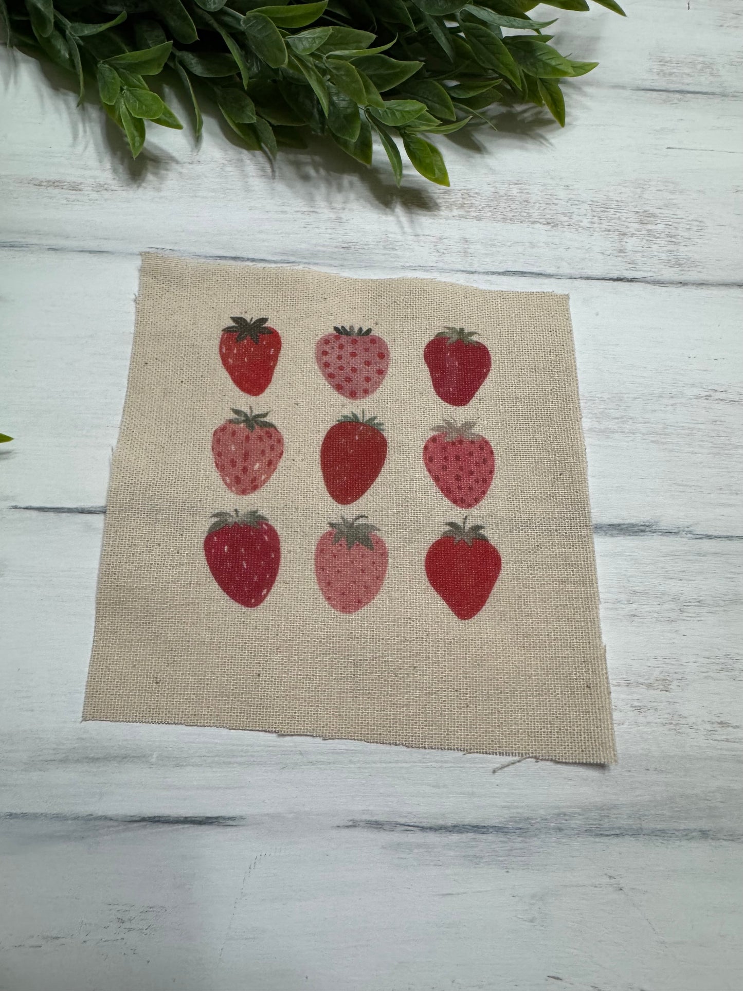 Strawberries 5” patch