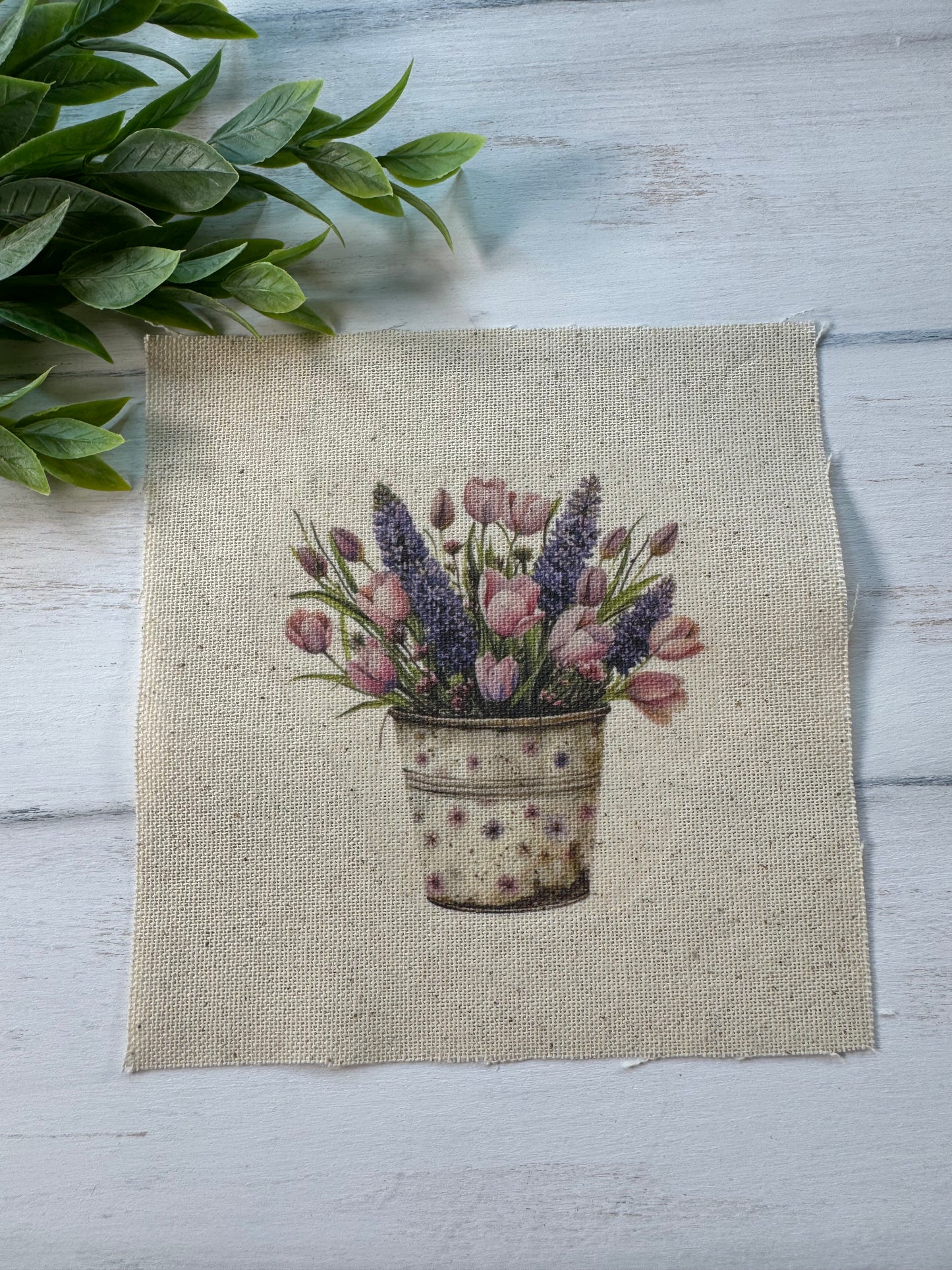 Lavender in bucket 5” patch