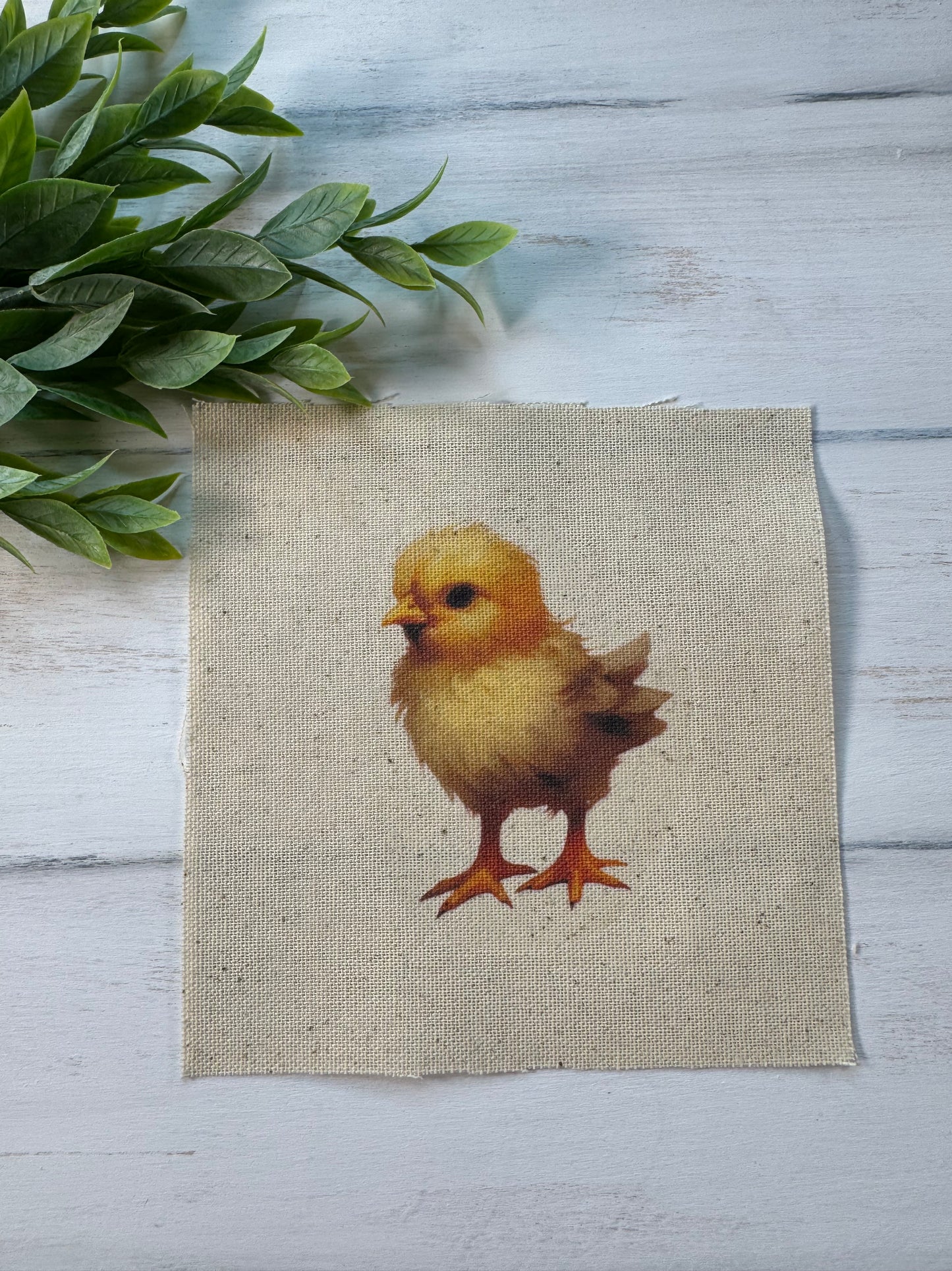 Chick 5” patch