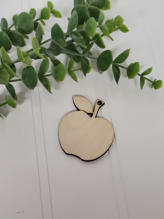 Apple tag 2 pack