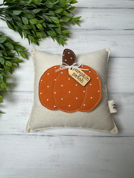 Interchangeable Pillow