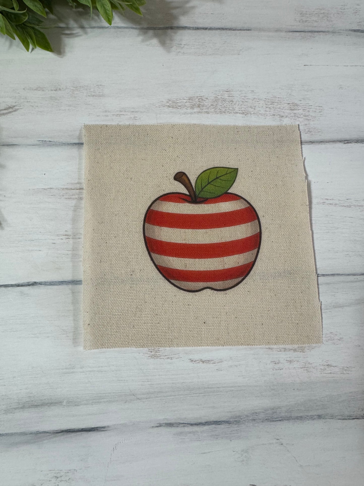 Red stripe apple 5” patch