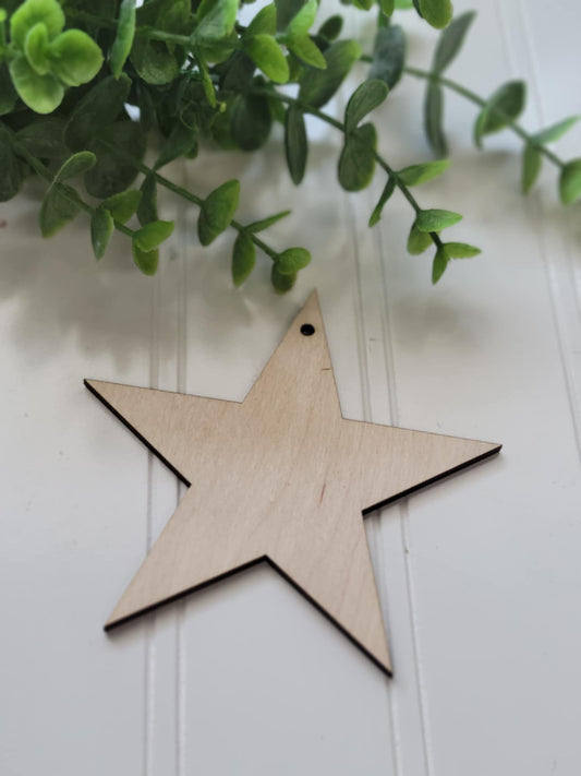 4” star tag