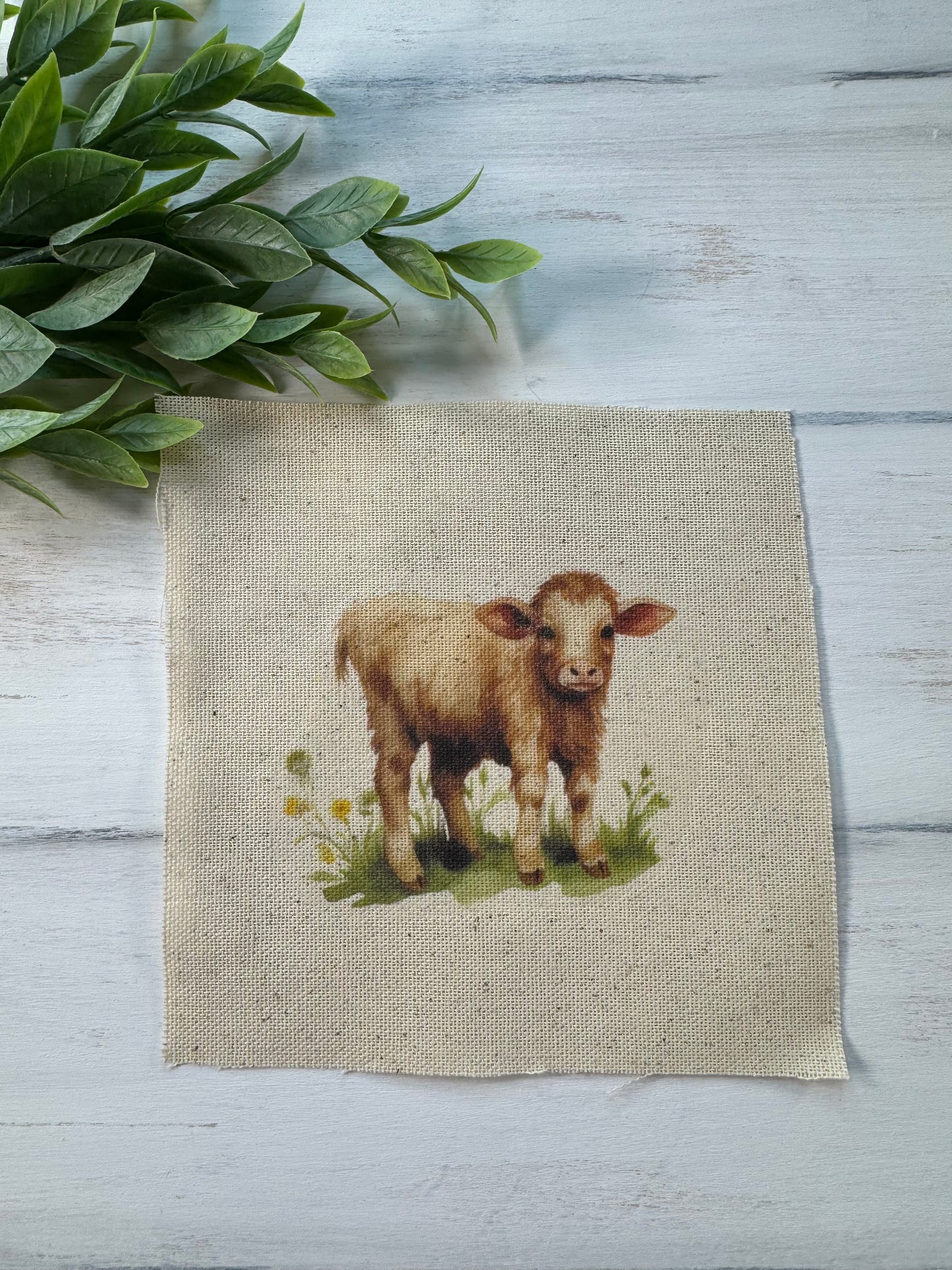 Brown calf 5” patch