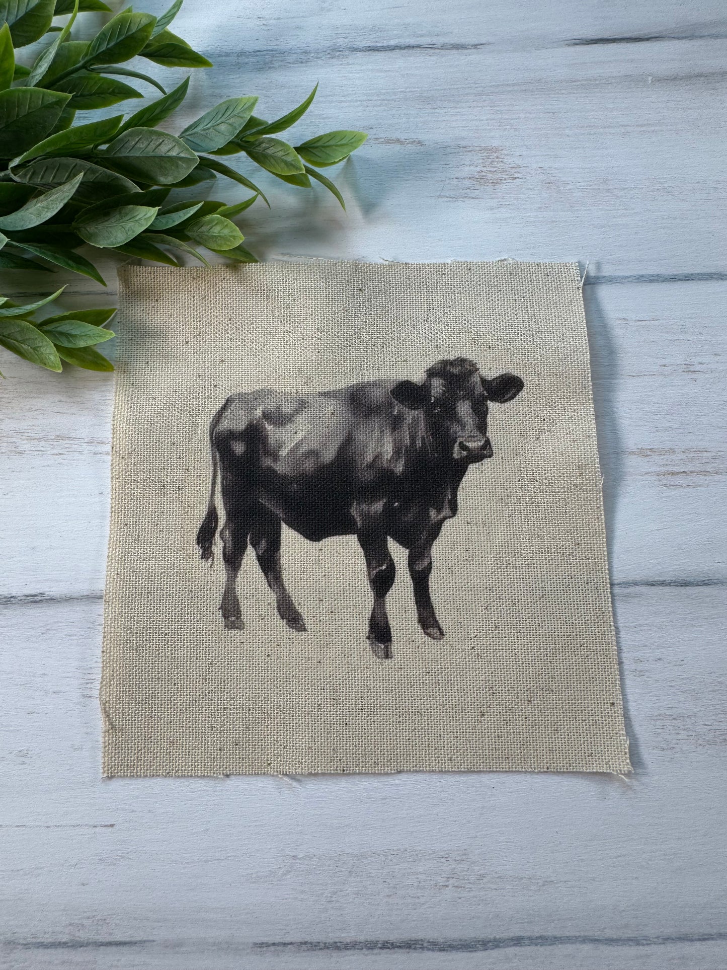 Black cow 5” patch