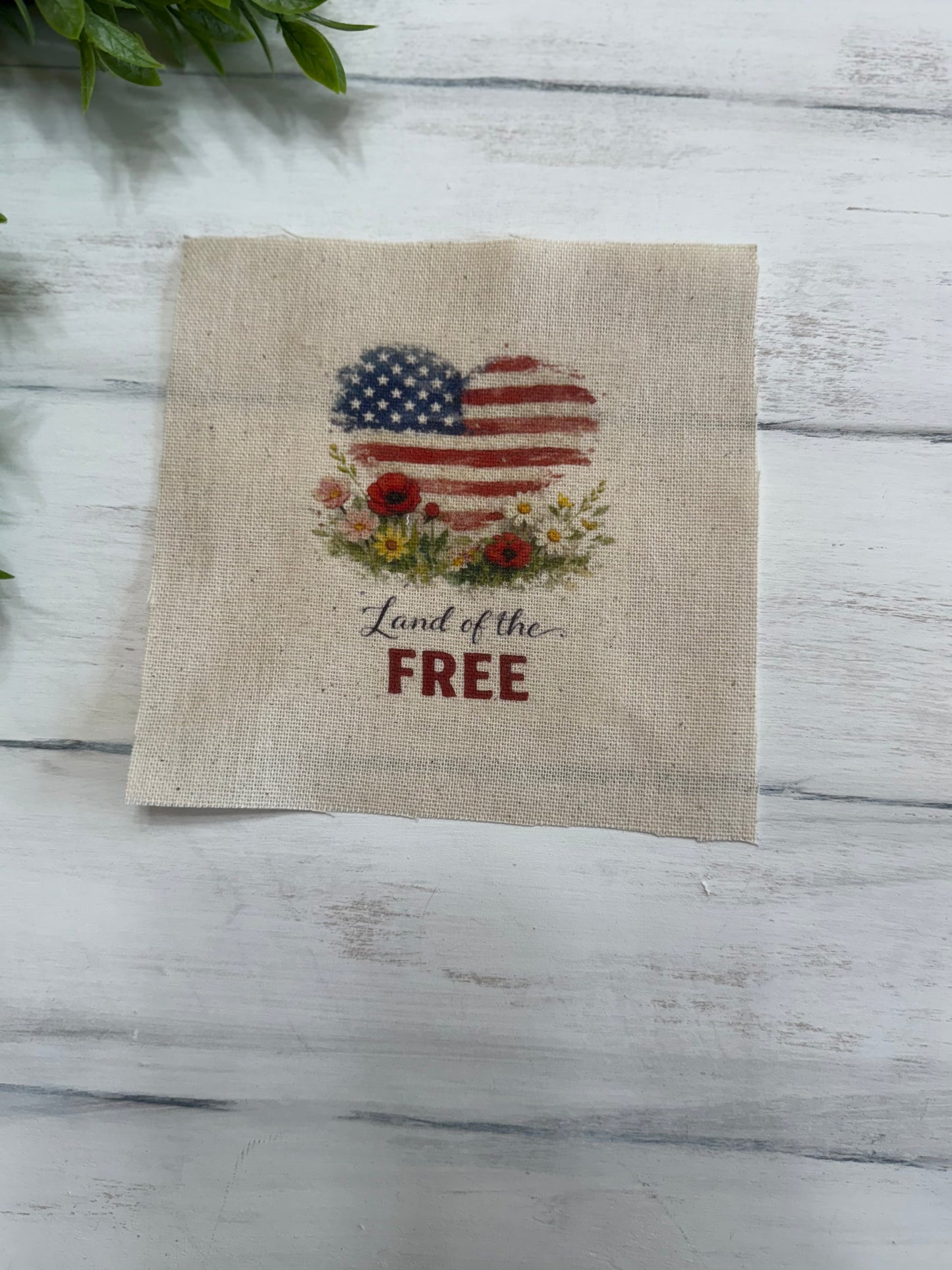 Land of the free 5” patch