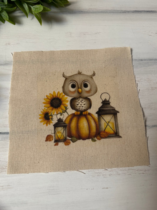Fall owl 5” patch