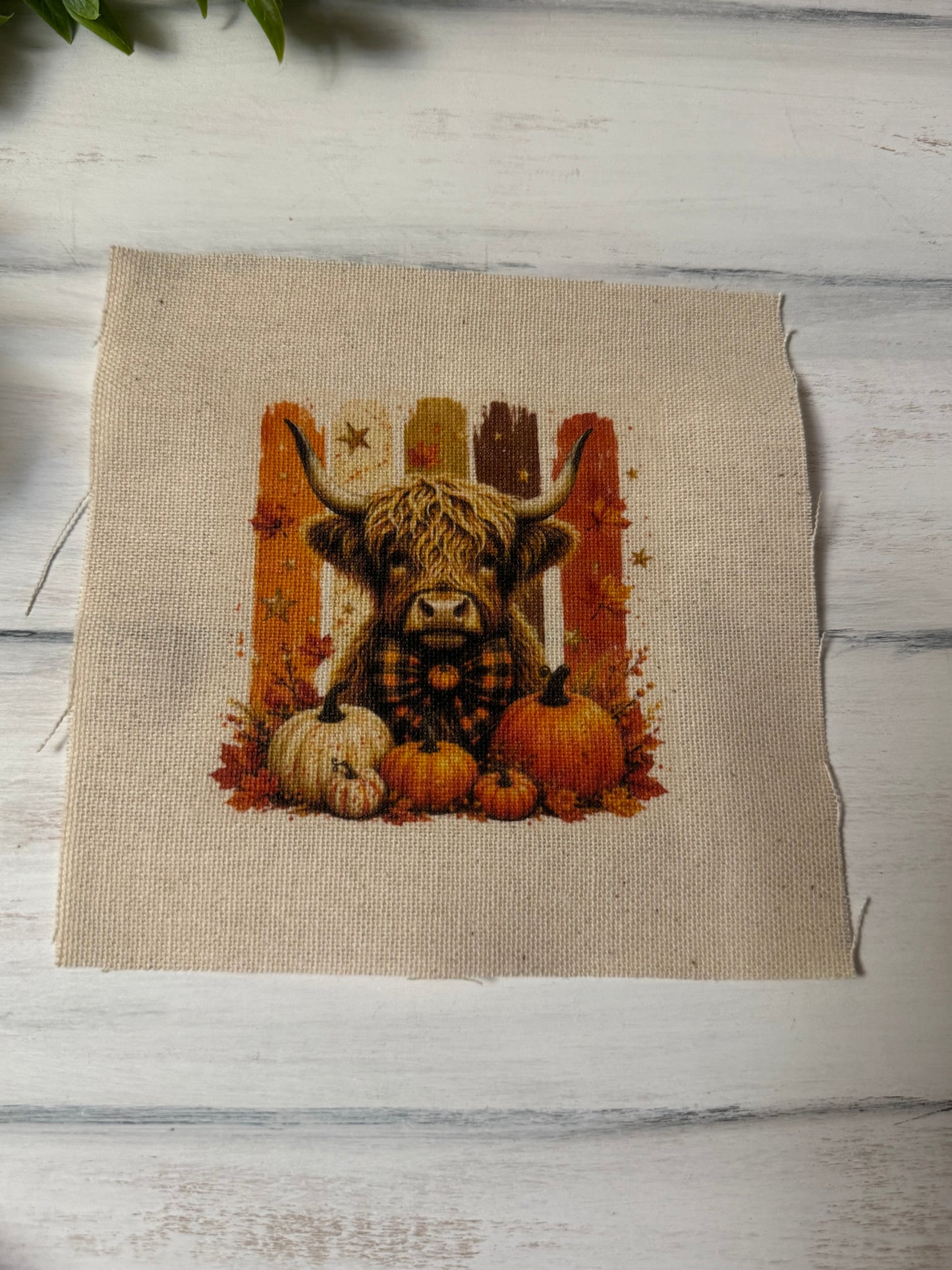 Fall highland cow 5” patch