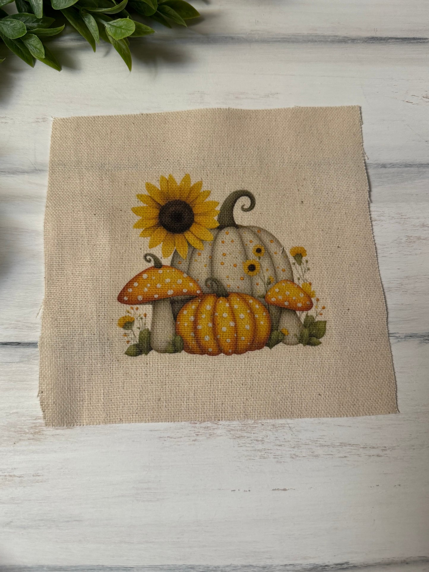 Fall mix 5” patch