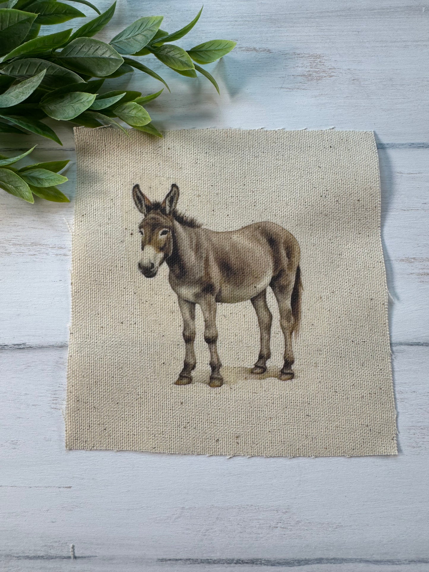 Donkey 5” patch