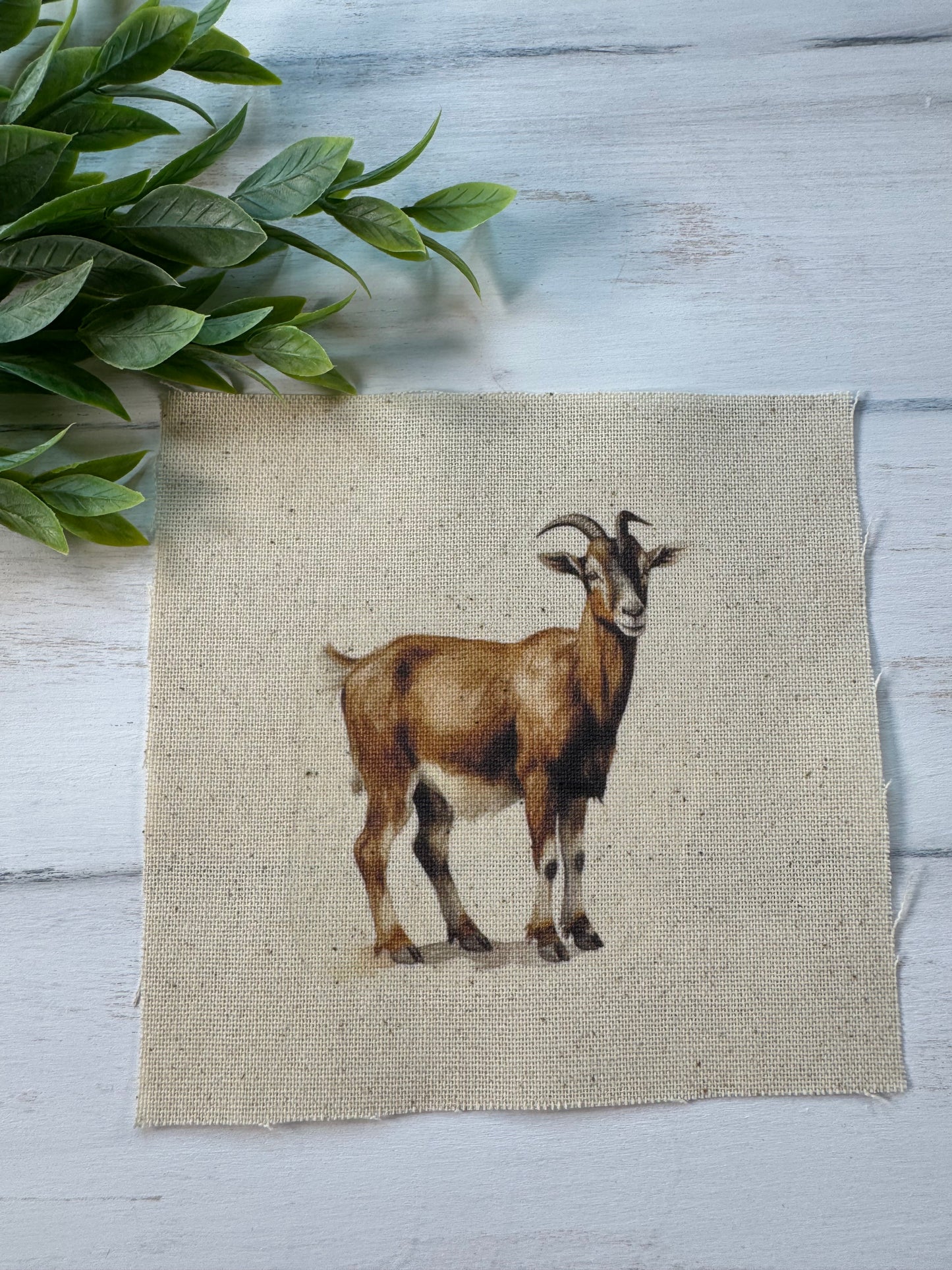 Goat 5” patch