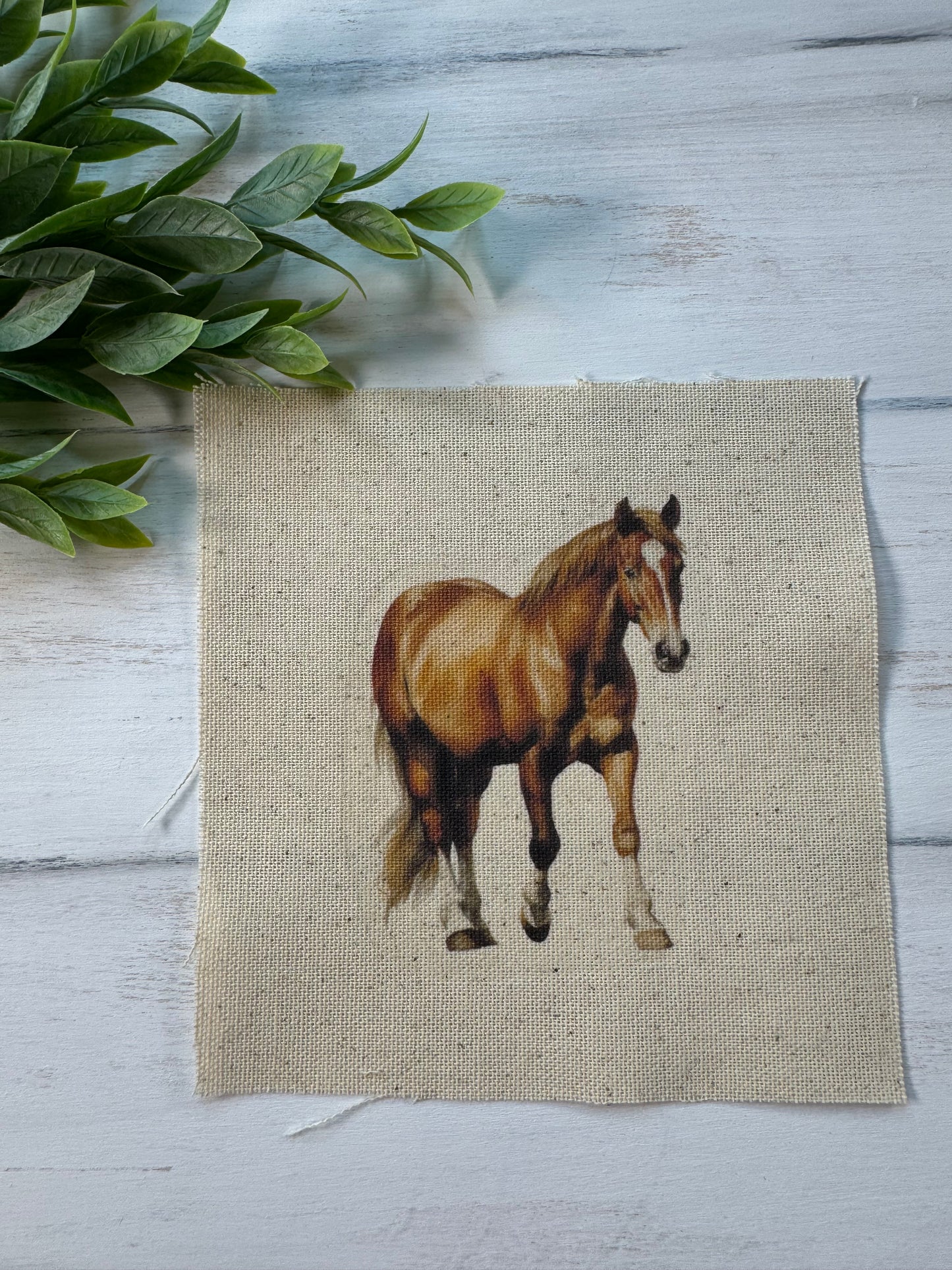 Horse 5” patch