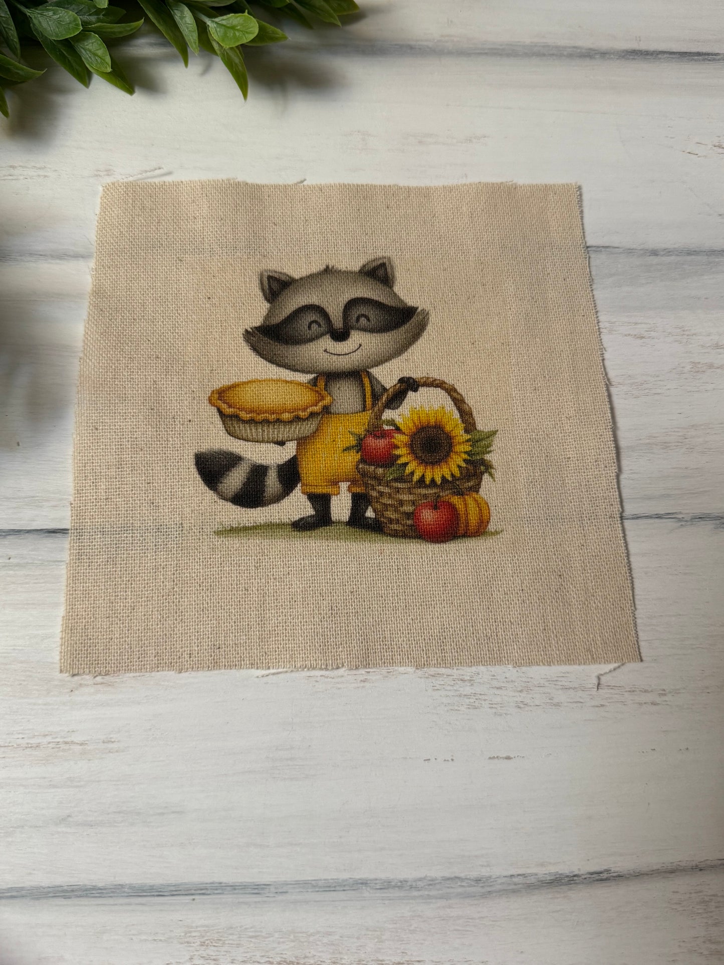Fall raccoon 5” patch