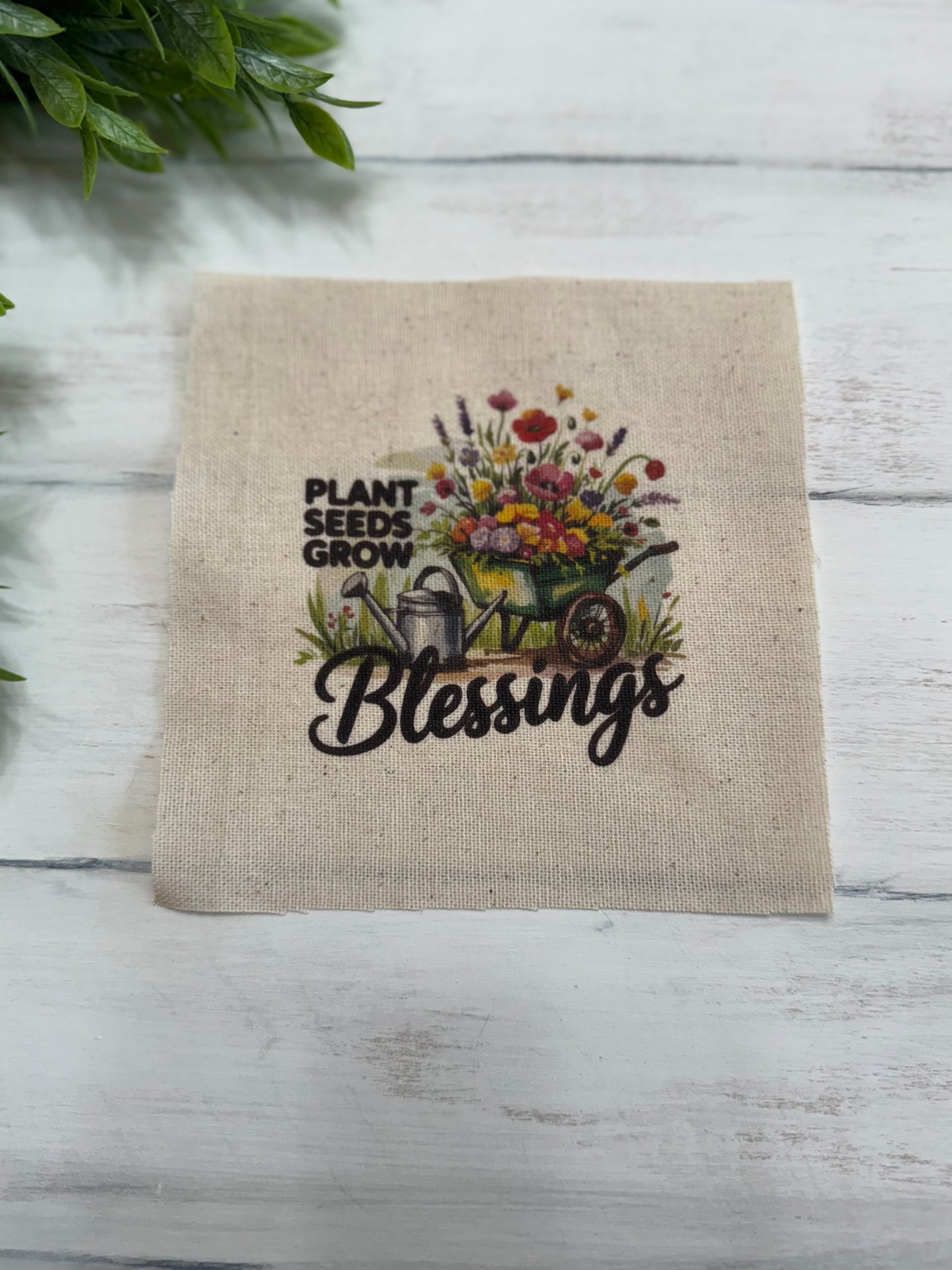 Plant seeds 5” patch