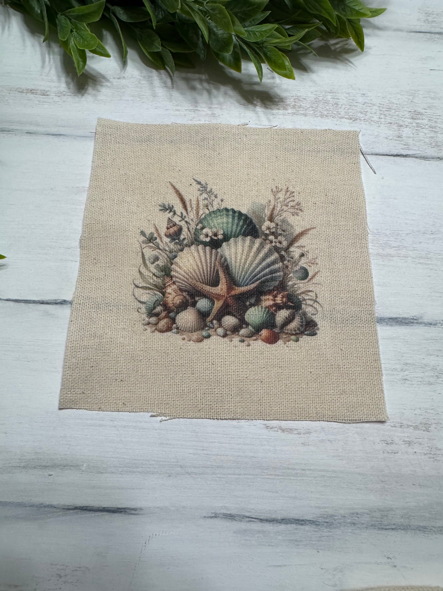 Coastal seashells 5” patch