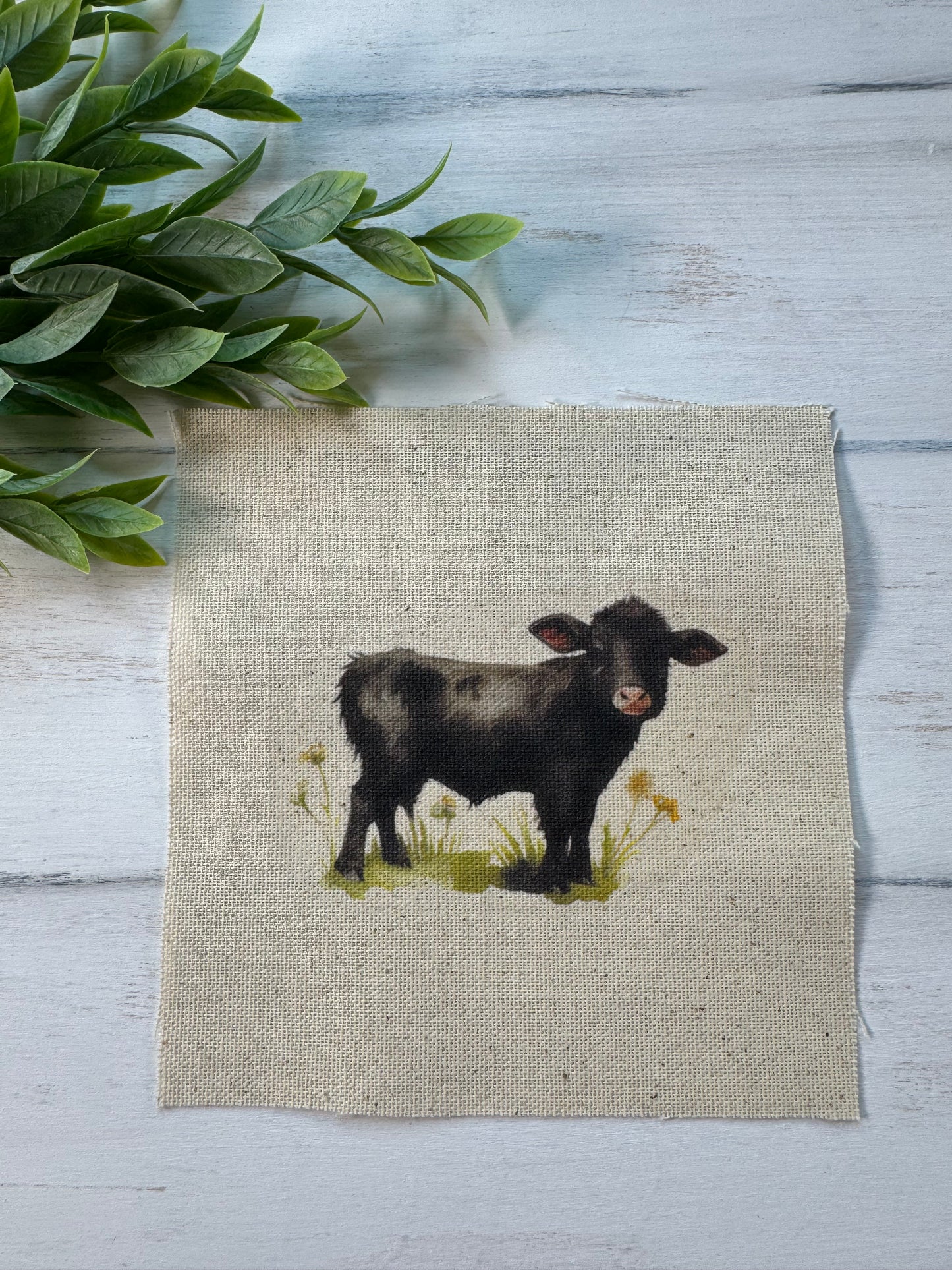 Black calf 5” patch