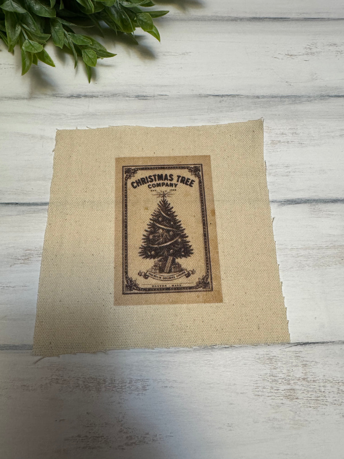 Vintage trees 5” patch