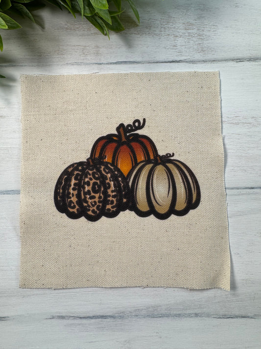 3 fall pumpkins 5” patch